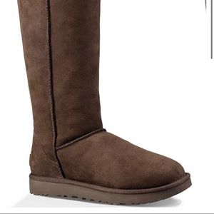 Classic tall chocolate uggs